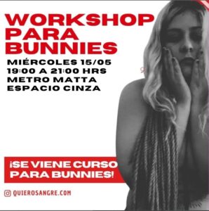 Workshop para bunnies